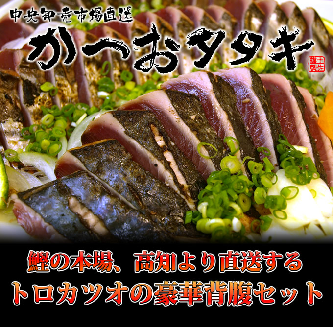 高知中央卸売市場直送 トロカツオのタタキ