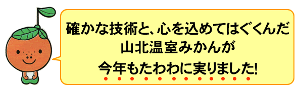 ���̤ߤ��󡡺�ǯ�⤿������¤�ޤ���