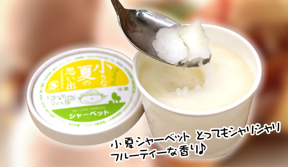 はるちゃんのアイス商品イメージ
