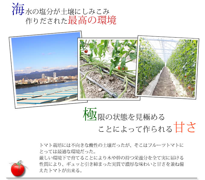 徳谷トマト栽培特徴