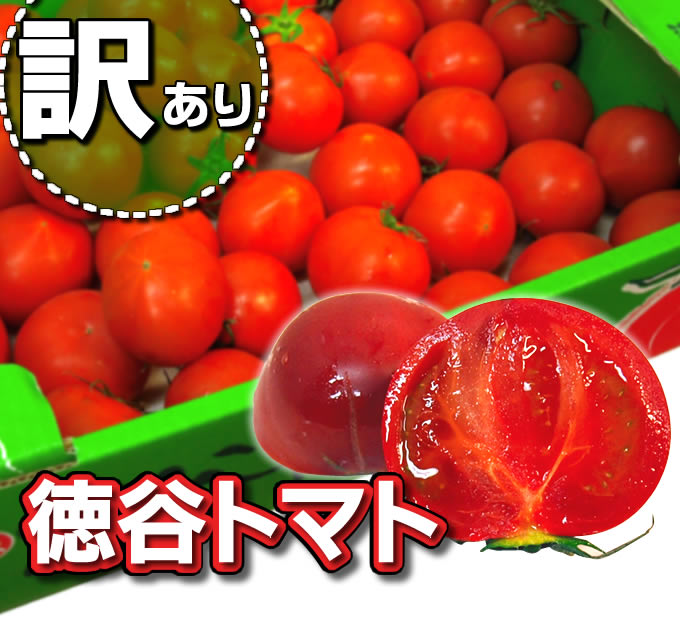 徳谷トマトトップ